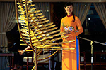AmaDara Gallery Image